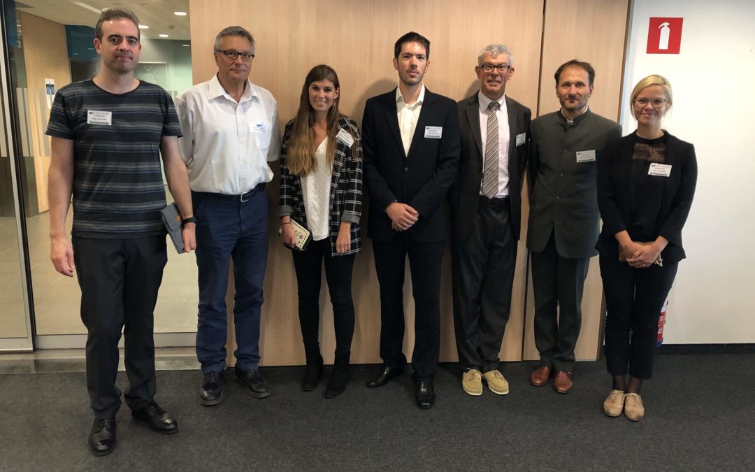 PIEDMONS Project, review meeting in Brussels